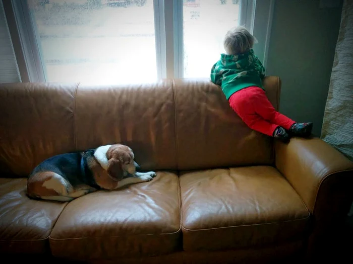 Luke îi scria în fiecare zi lui Moe, pentru a-l întreba ce face Foto: buzzfeed.com