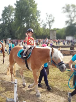 2 eli roman la karpathia horse show 2019 2 jpg jpeg