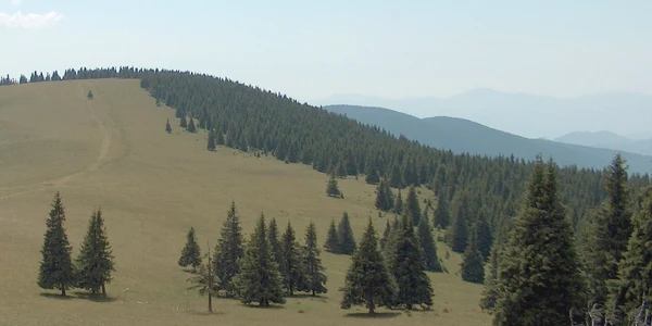10 pârtii noi de schi în Munţii Sebeşului