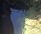 Imagini cu taurul salvat din bazinul cu apă din Creţeni - Vâlcea Foto ISU Vâlcea