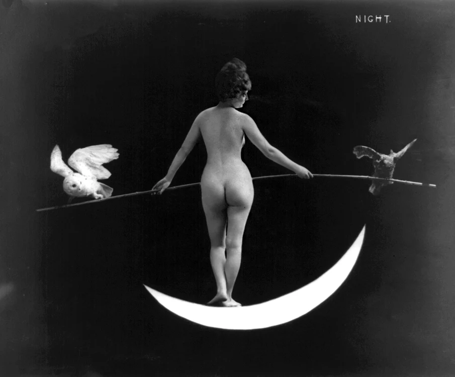 Cîinele şi leul jpeg