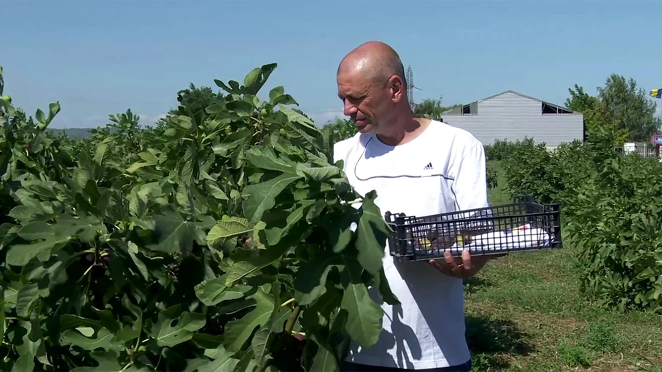 Fermierul Valentin Badea a obţinut în acest an o recoltă de 16 tone. Foto: Iulian Bunilă