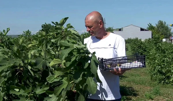 buzau smochine1  jpg