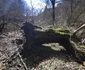 Locul unde a trăit iancu din Sacamas Foto Daniel Guță (8) jpg