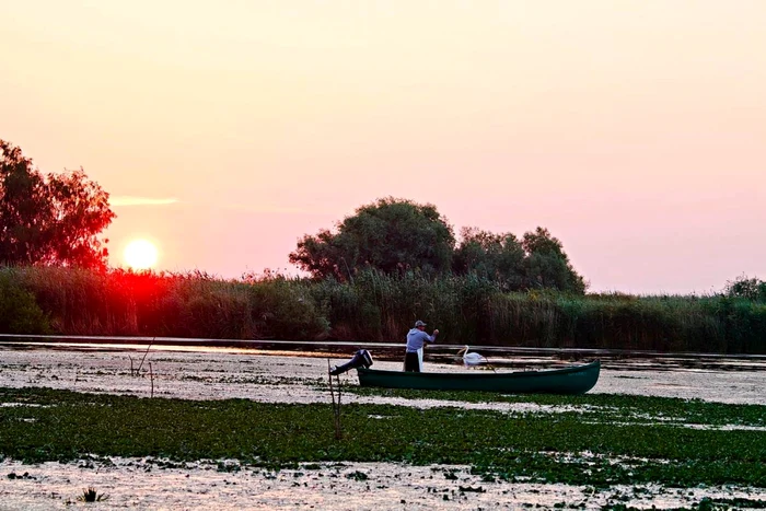 Pescar în Delta Dunării FOTO ARBDD