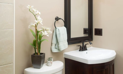 plante care rezistă în baie jpeg