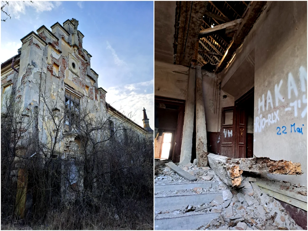 Construcția este înconjurată de copaci sălbatici FOTO Anca Timofan