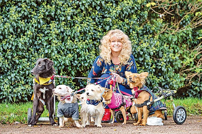 Claire-Louise Nixon iese zilnic cu căţeii la plimbare