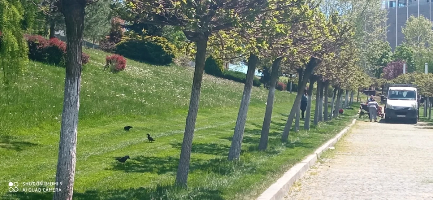 slatina