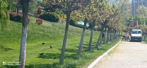 slatina