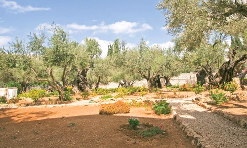 1 51720 original jpg jpeg