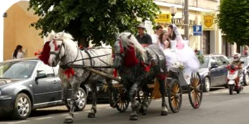 Bistriţa: Fără poluare fonică la nuntă