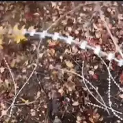 trupe speciale gif gif