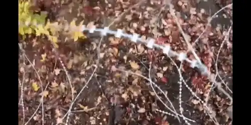 trupe speciale gif gif