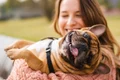 animal de companie  jpg
