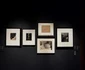 Expo Brâncuși la Timișoara FOTO Ștefan Both
