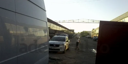 Politia locala constanta transporta cereale cu masinile de serviciu