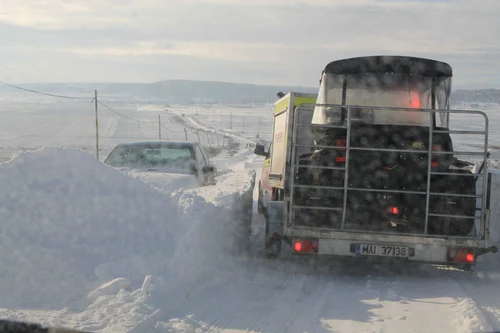 inzapeziti vaslui