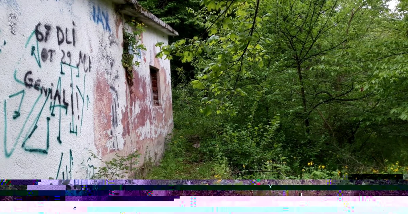 pădurea strehareţ slatina