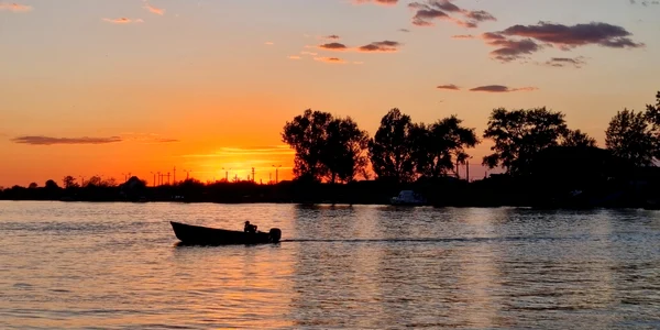 delta dunarii   foto ovidiu oprrea jpeg