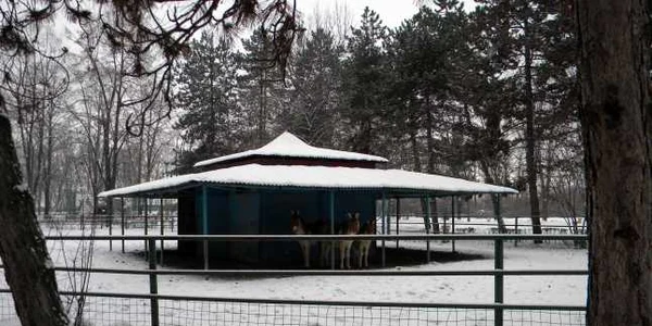 zoo ploiesti