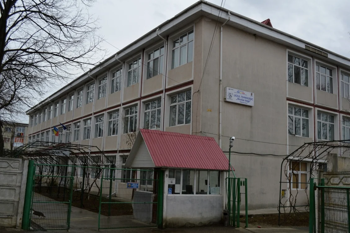 liceul nicolae iorga negresti  