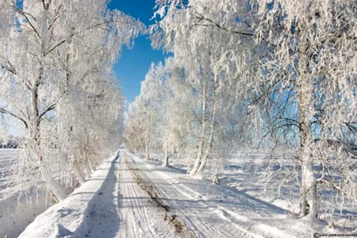 Ai visat multă zăpadă? Află ce noroc te aşteaptă