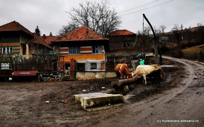 satul ulm tinutul padurenilor foto daniel guta adevarul