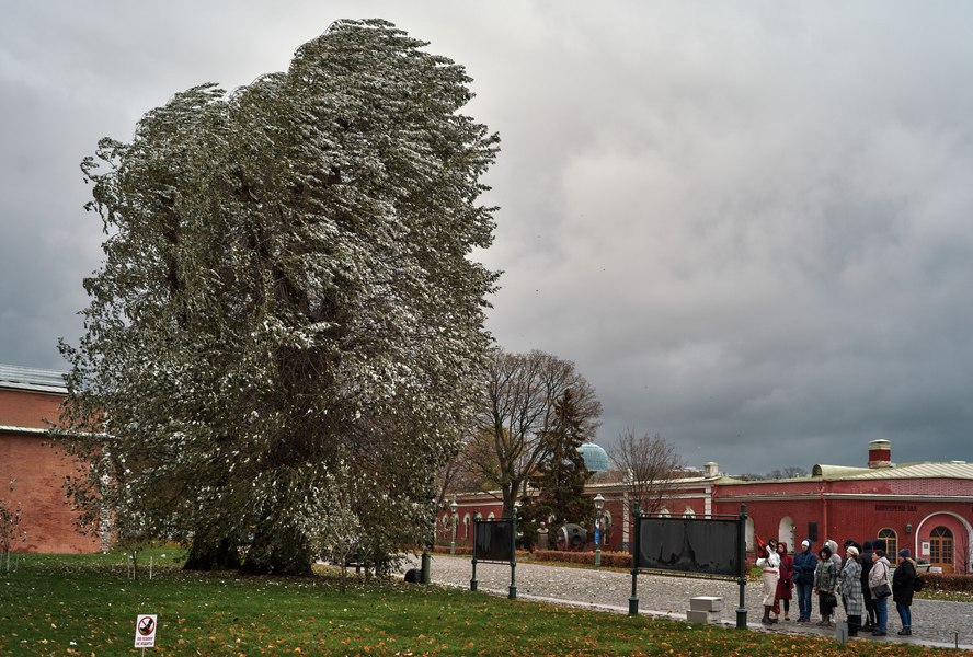 Avertizare meteo: vineri, până la ora 18, cod galben de vânt. În Bucureşti, maxime de 23-24 grade