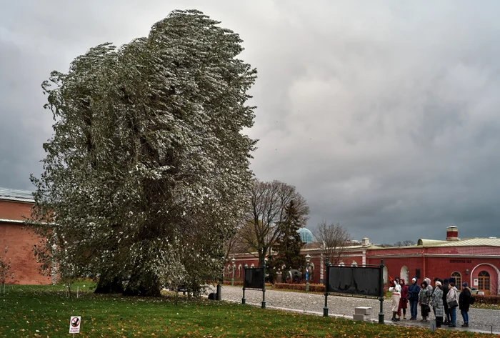 A fost emis Cod galben de vânt pentru o parte a ţării, foto arhivă