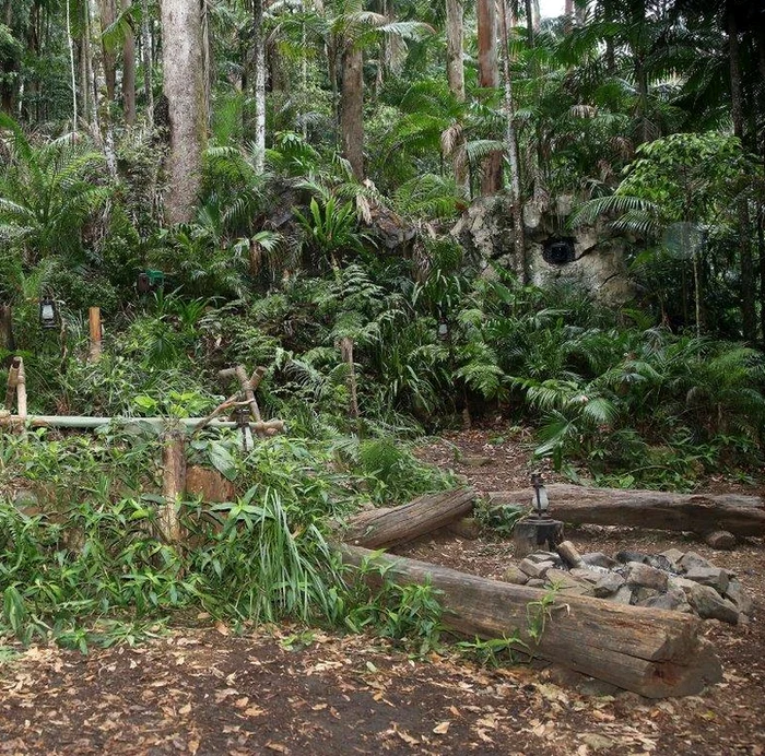 
    Dorian Popa s-a întors triumfător în tabăra 