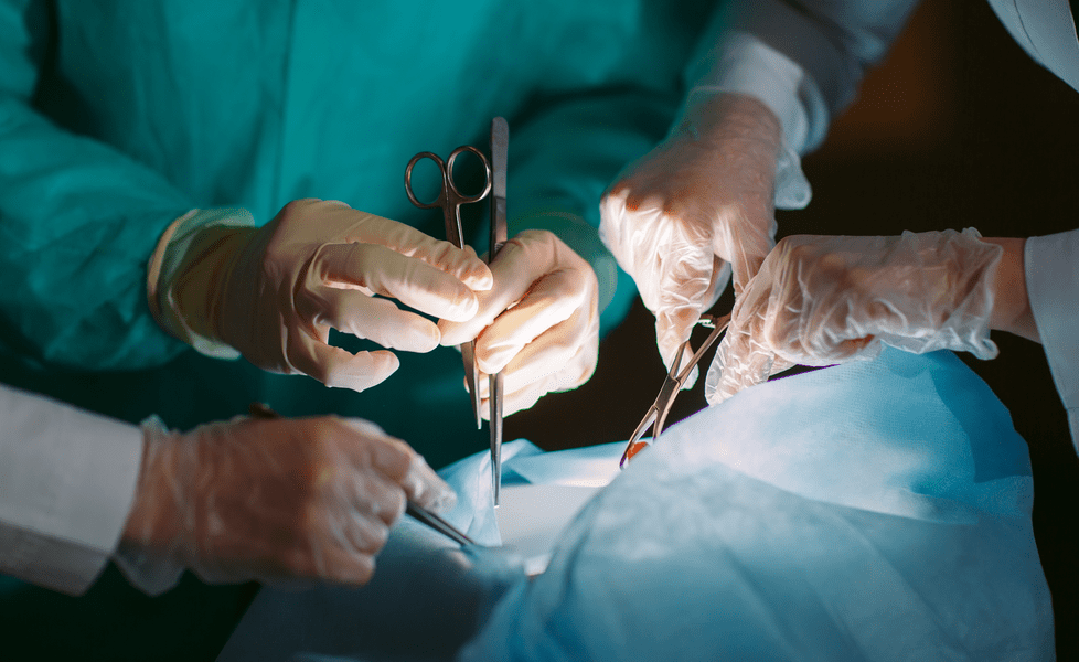 Transplantul de „insule“ pancreatice „schimbă viaţa“ pacienţilor cu diabet de tip 1. Tratament autorizat în Franța