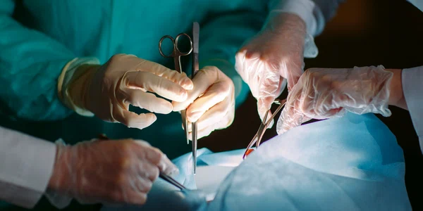 transplant operatie chirurgicala medici shutterstock 571823737 jpg