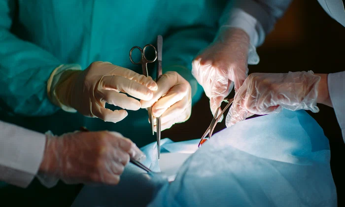 transplant operatie chirurgicala medici shutterstock 571823737 jpg