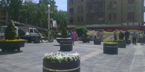 Amenajarea spaţiul unde a fost acvariul se face cu încetinitorul