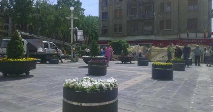 Amenajarea spaţiului unde a fost acvariul se face cu încetinitorul