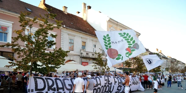 Banner U Cluj
