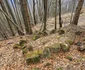 Cetatea dacică Fețele Albe Foto Daniel Guță ADEVĂRUL (112) jpg