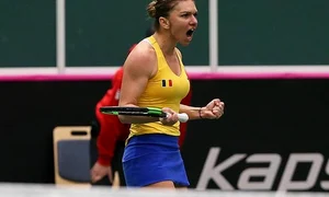 simona halep bucurie fed cup 765x509 jpeg