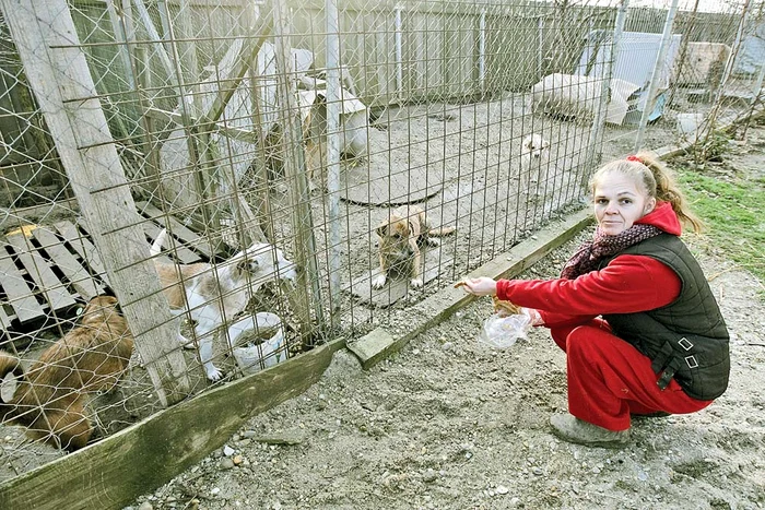 Mariana Honceriu  se ocupă de  socializarea căţeilor