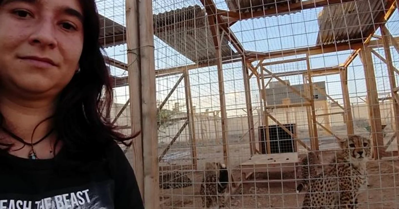 Angela Ionică s-a ocupat de puii de gheparzi din adăpostul din Somaliland. FOTO: Arhivă personală