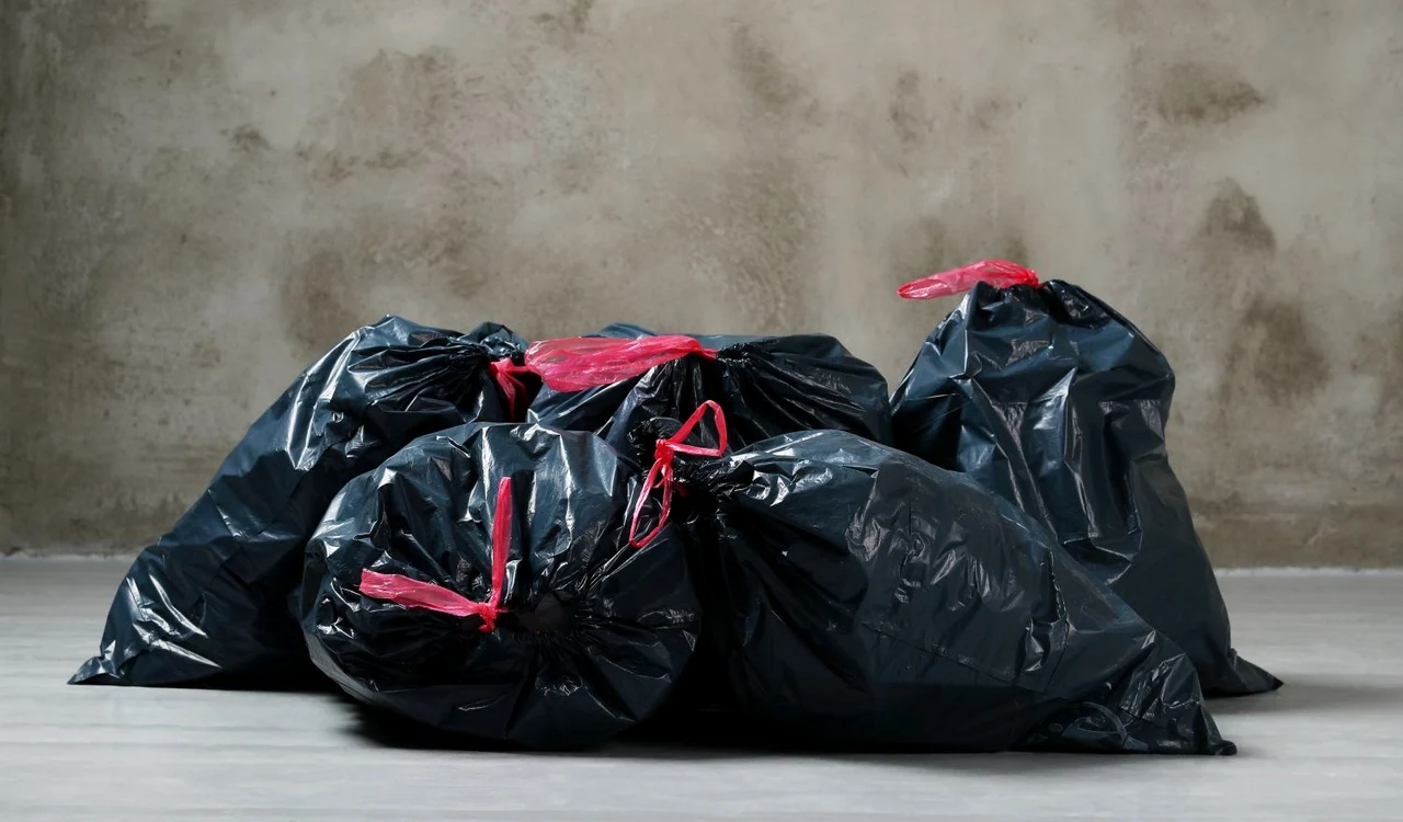 Nu trebuie să duci gunoiul noaptea. De ce? / Foto: Freepik
