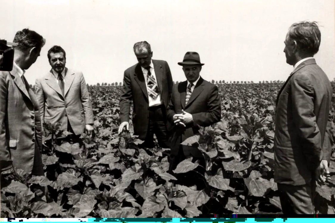 Vizita de lucru a lui Nicolae Ceauşescu în judeţul Teleorman: C.A.P. Purani. (16 iunie 1976) foto: Fototeca online a comunismului românesc, cota 101/1976