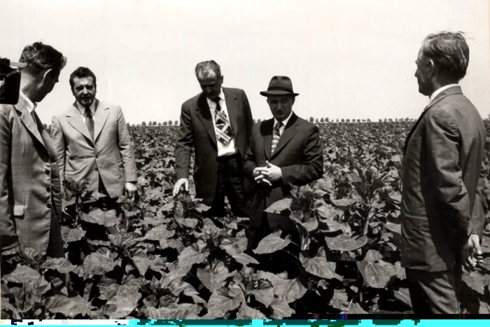 Vizita de lucru a lui Nicolae Ceauşescu în judeţul Teleorman: C.A.P. Purani. (16 iunie 1976) foto: Fototeca online a comunismului românesc, cota 101/1976