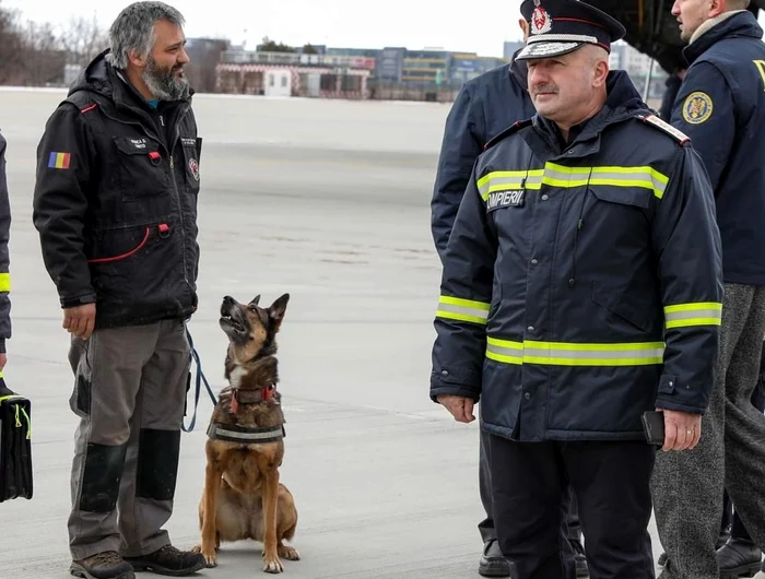 Zura face în aprilie 7 ani (Foto: IGSU)