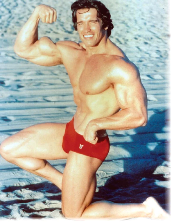 
    Schwarzenegger,  aşa cum  arăta în 1976  