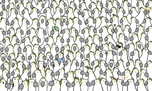 hidden doves picture puzzle jpg
