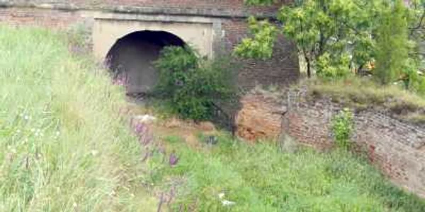 Porţile Cetăţii, ascunse după bălării