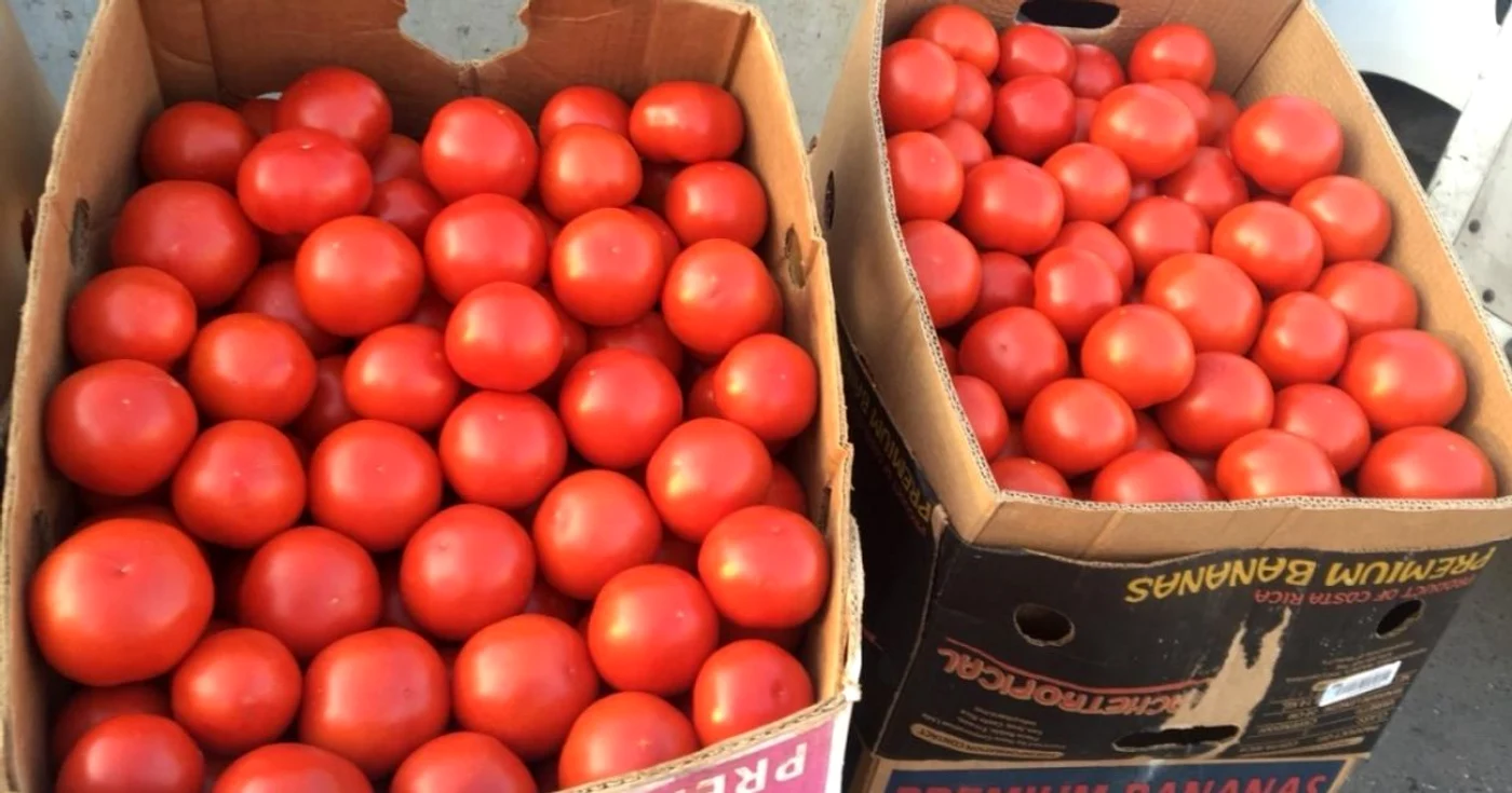 Ministrul Agriculturii a precizat că programul Tomata a fost fraudat