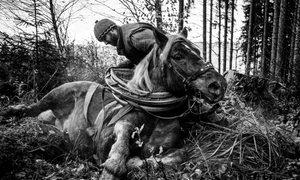 Vernisajul expoziției de fotografie documentară „Despre oamenii și caii din Valahia Moravă”